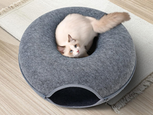 Multi-cat Paradise