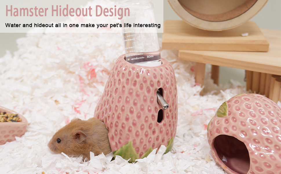 Hamster hideout