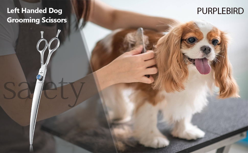 PURPLEBIRD 8 Inch Left Handed Downward Curved Dog Grooming Scissors