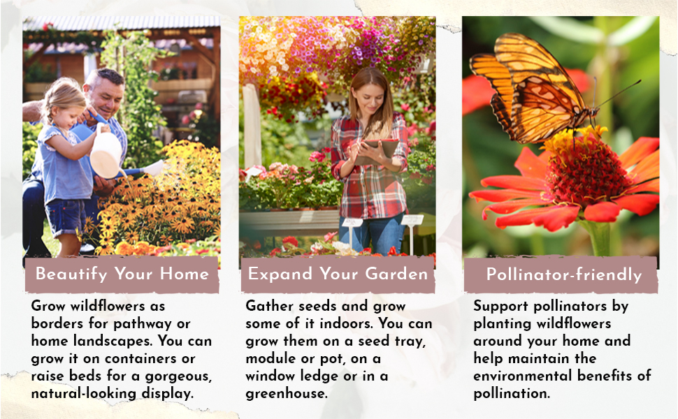 HOME GROWN 49,000+ Wildflower Seeds (2oz) Bulk Mix, 21