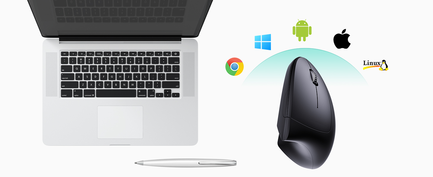 computer mouse