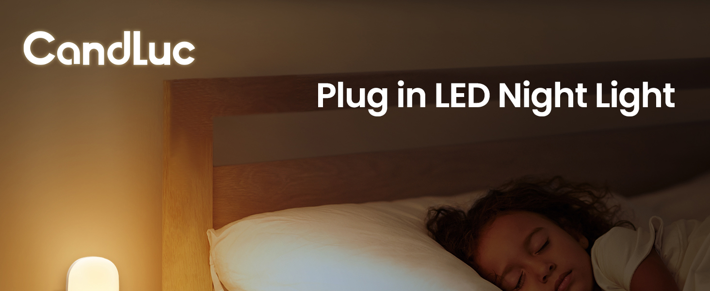 Night Light Plug in