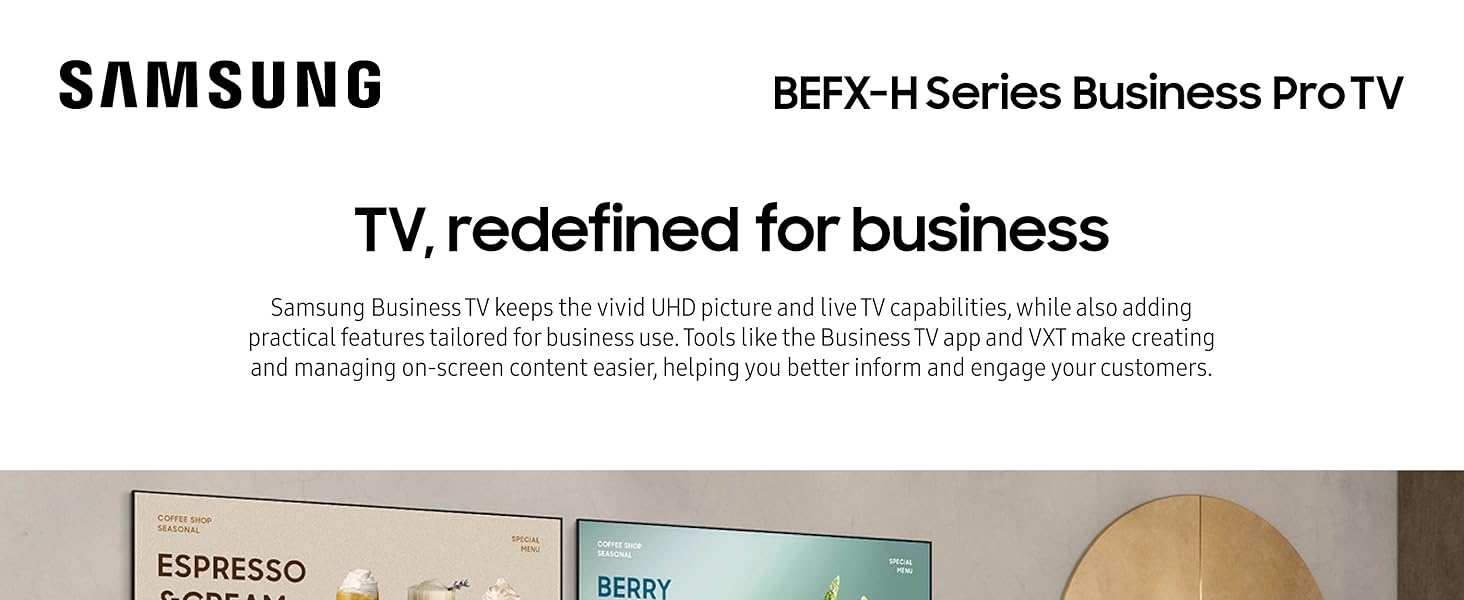 BEFX-H Series Business Pro TV