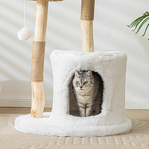cat tree
