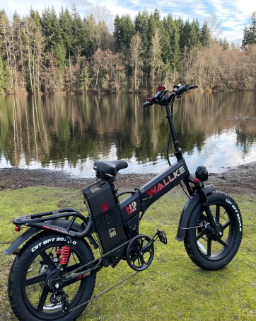 Folding electric bike