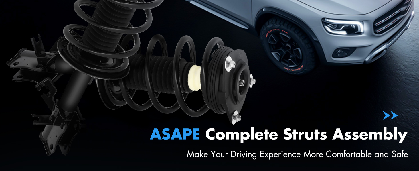 Complete Struts Assembly