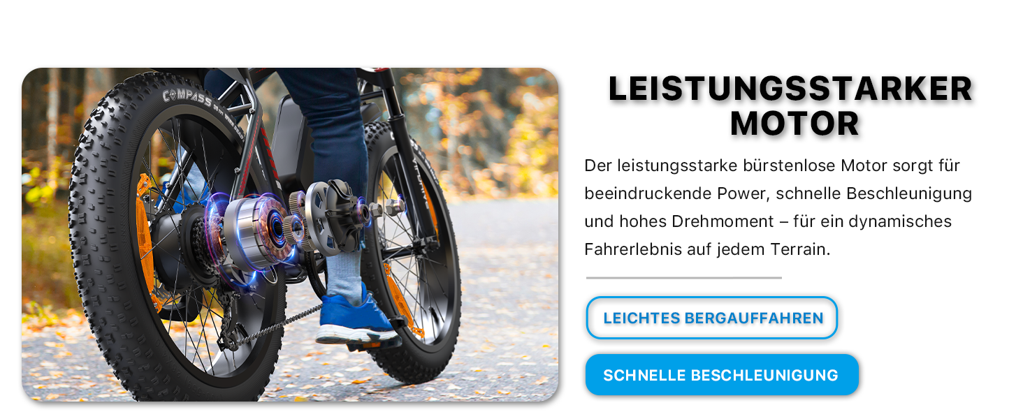ebike