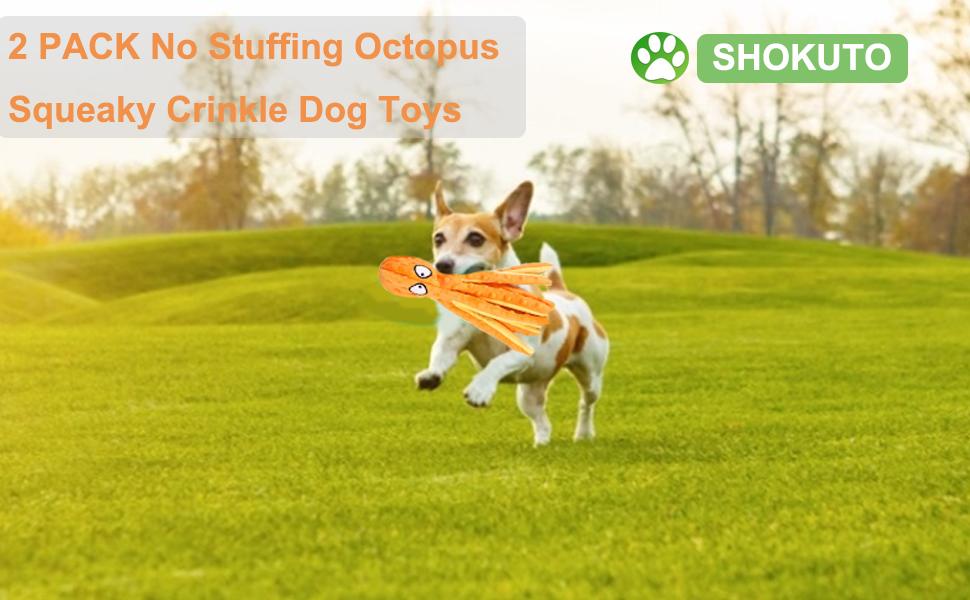 dog toy