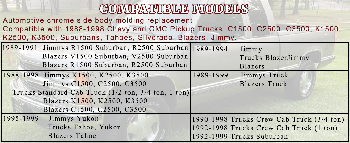 Chrome Side Body Trim Molding 