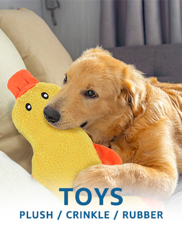 dog toys