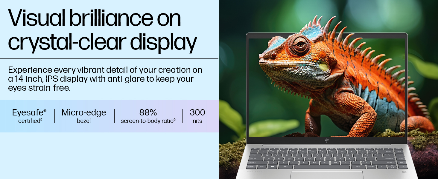 Crystal clear IPS Display