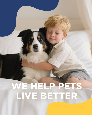 dog pet cat stairs bed mat crate pad washable