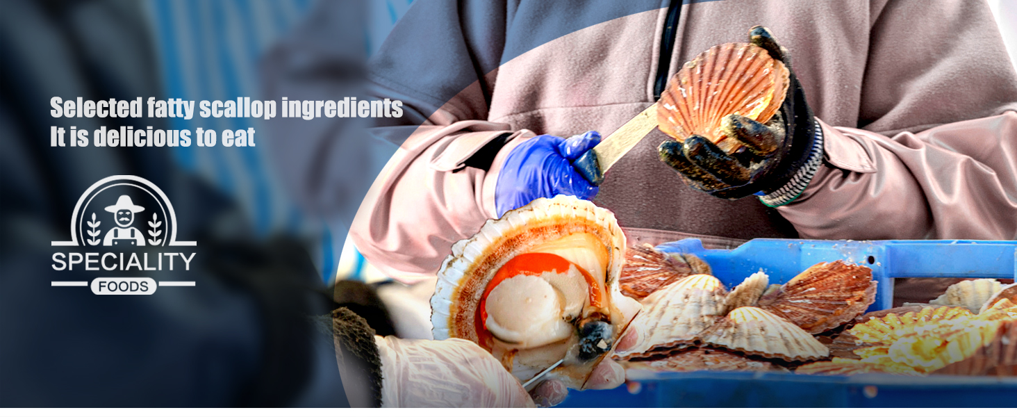 BESTORE Spicy Whole Scallops 3 Pack Ready to Eat