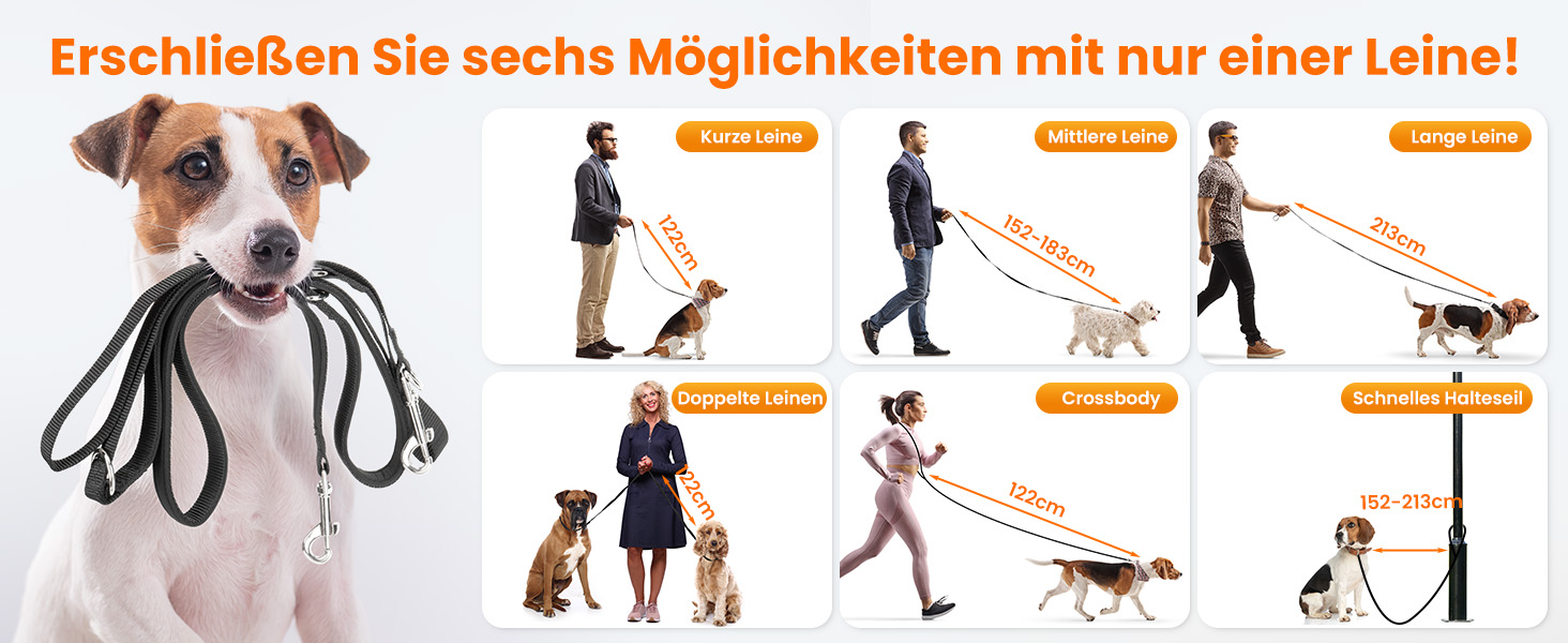 Multifunktionale Hundeleine mit sechs abgebildeten Nutzungsoptionen, einschließlich Freisprecheinrichtung und Konfiguration für zwei Hunde. Jack Russell Terrier