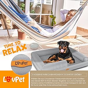 het hondenbed - - tijd om te ontspannen