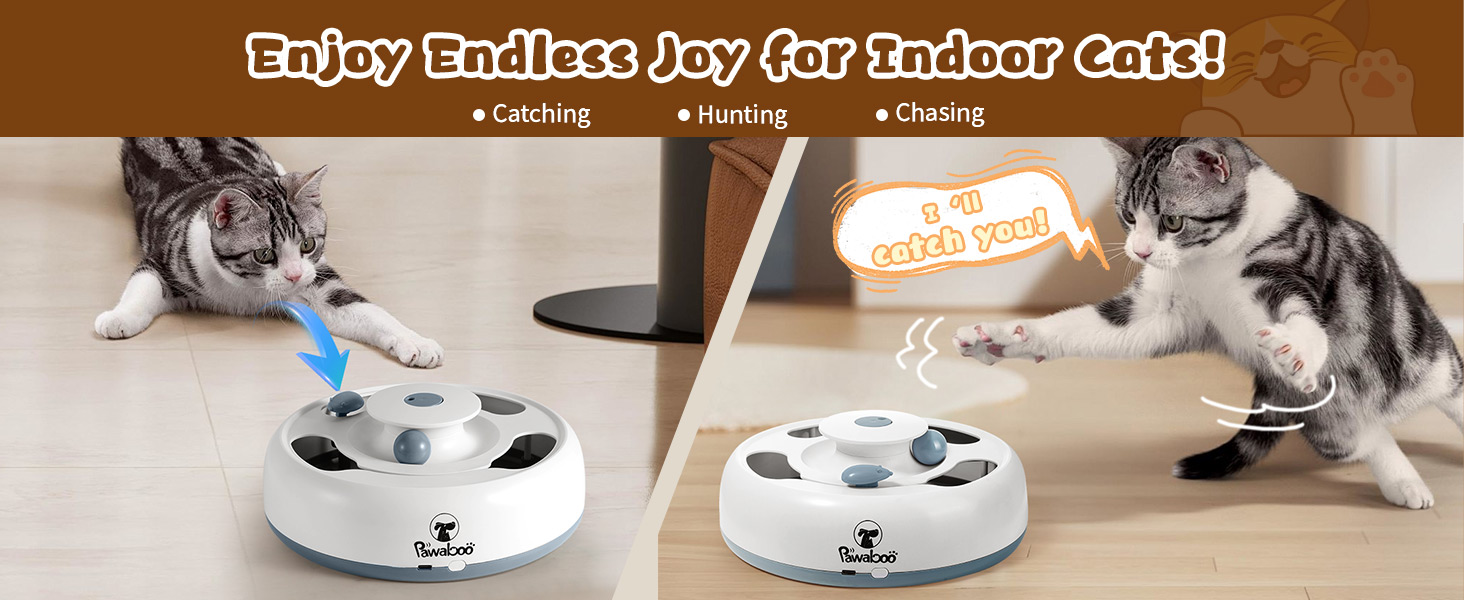 interactive cat toys