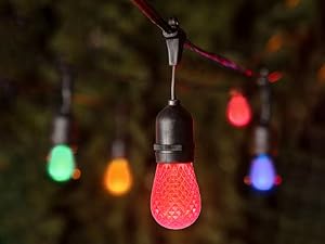 s14 colored light bulbs