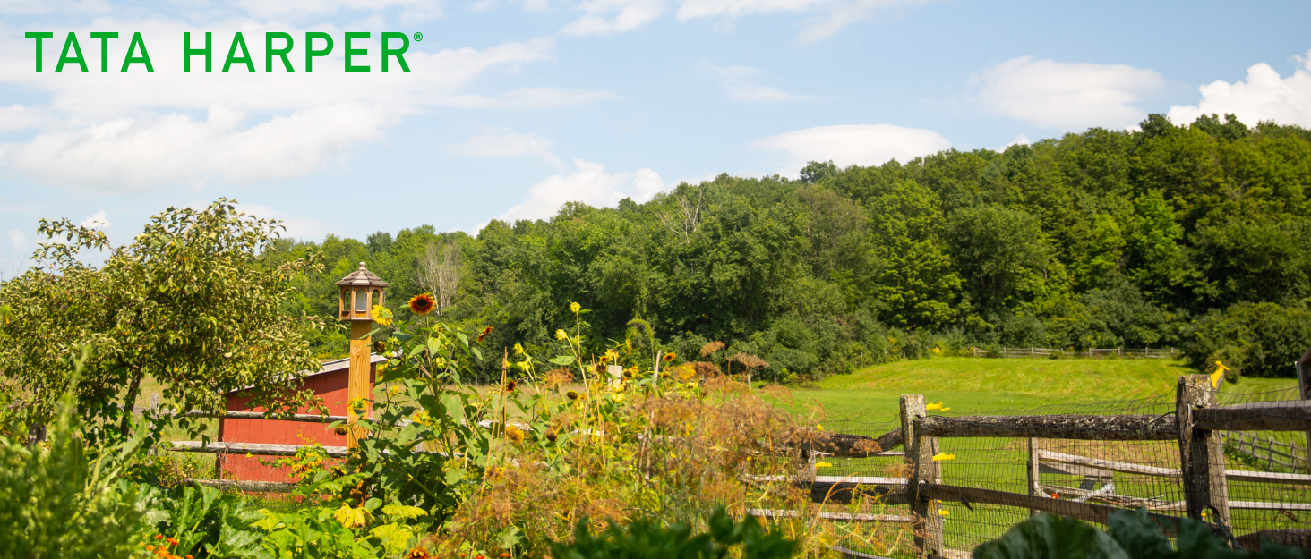 tata harper, clean skincare, luzury skincare, natural skincare, skin care