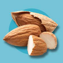 skinsations almond massage oil