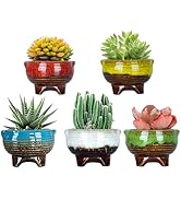 Amazon.com: ARTKETTY Succulent Pots - 4 Inch Small Plant