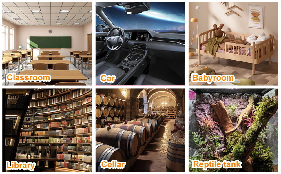 Der Text lautet „Klassenzimmer“, „Auto“, „Babyzimmer“, „Bibliothek“, „Keller“, „Reptilientank“. Sammlung beschrifteter Innenaufnahmen, die verschiedene Räume und Umgebungen zeigen, darunter Bildungs-, Automobil-, Wohn- und Spezialräume.