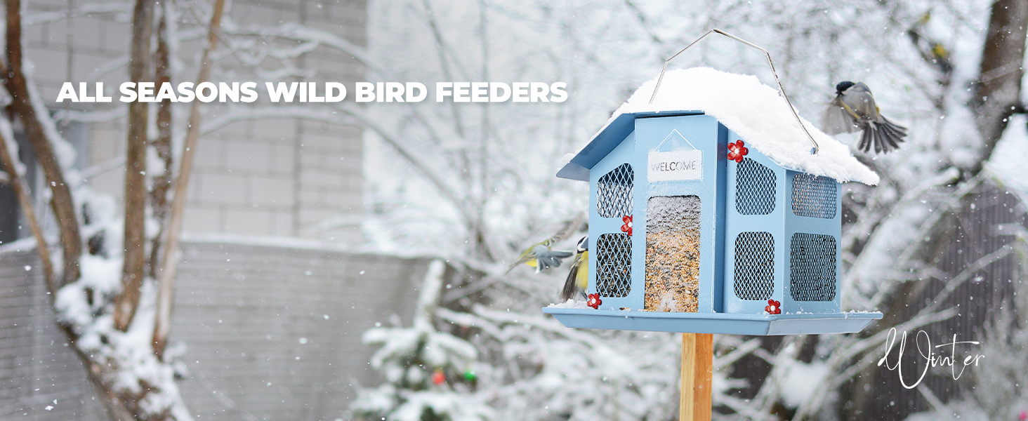 bird feeder