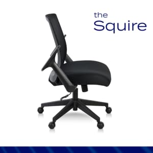 [SiegRay] Amazon.com: Romig Squire Ergonomic Mesh Office Chair with