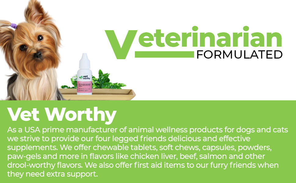Vet Worthy Kennel Cough Drops for Dogs Dog Supplement for Dry Kennel Cough Relief