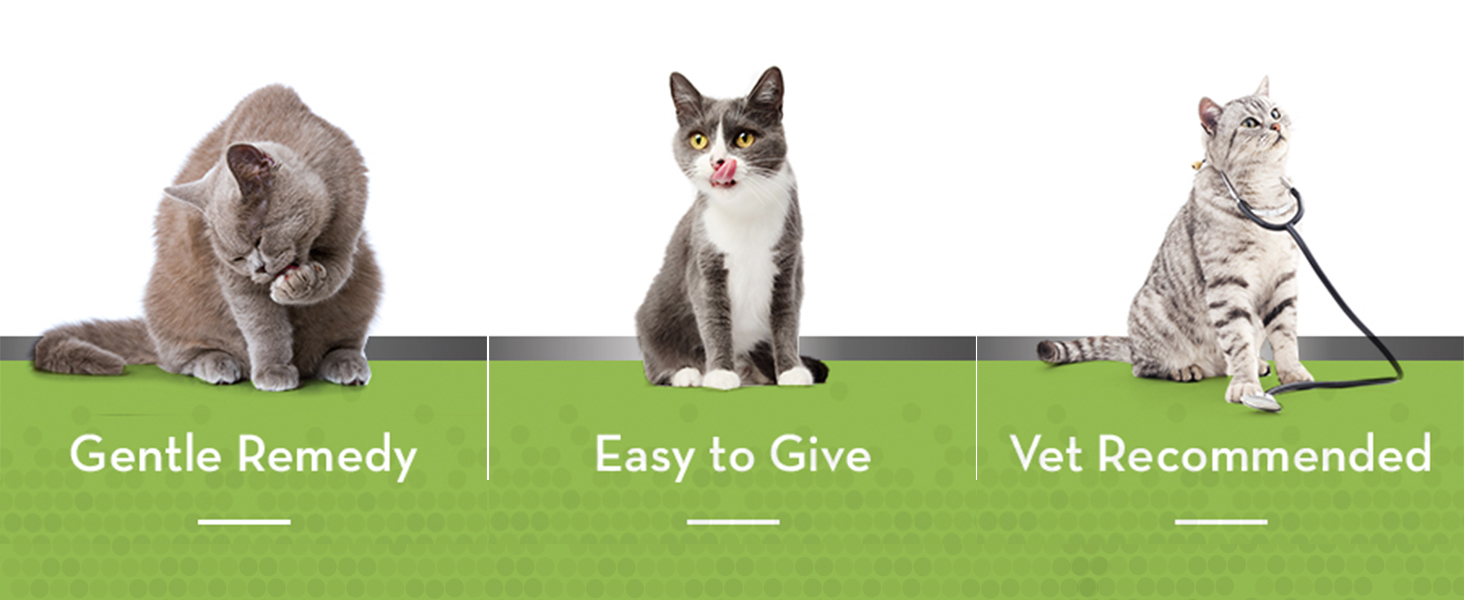 Tomlyn Laxatone ChickenFlavor Hairball Remedy Chews for