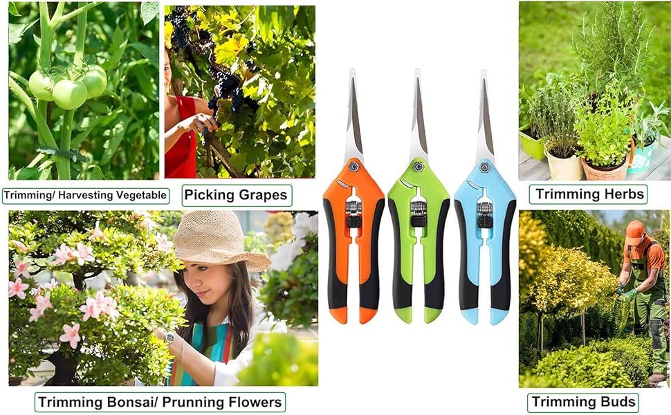 pruning shears