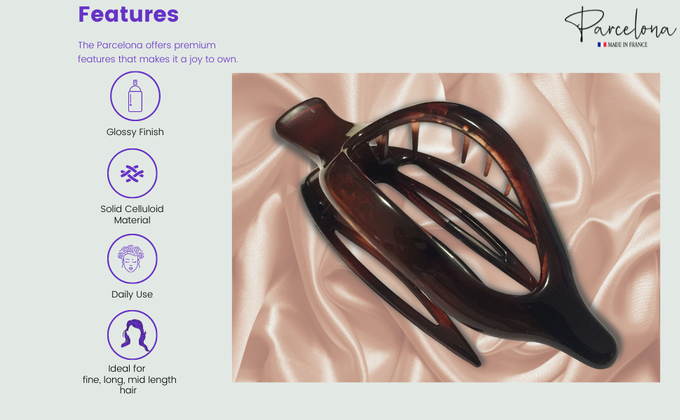 features beak hair clip