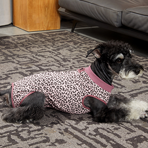 Recovery suit for dogs