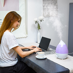 Amazon.co.jp: 加湿器 1byone 次亜塩素酸水対応 超音波式 卓上