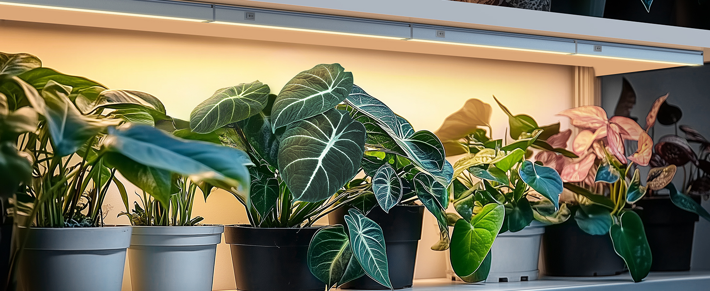 grow lamp indoor plant lights growth lamps Dimmable Brightness Seed Starting