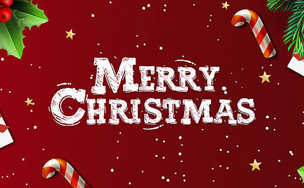 Arakulago Mini Desk Christmas Tree 10 Inch Tiny Miniature