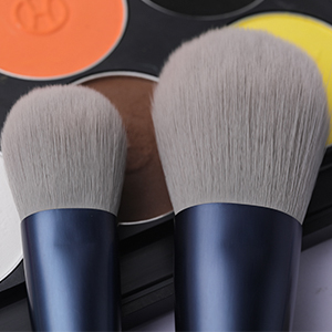 makeup brushes set