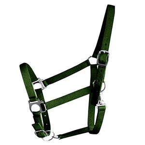 Image of the green halter floating on a white background