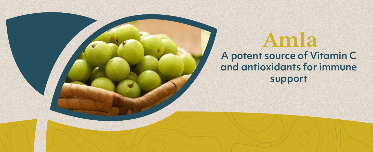 relief ringing ears zinc supplements bromelain attack naturals health oscillococcinum elderberry