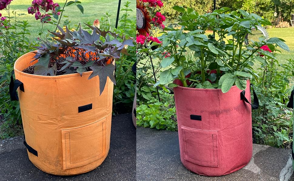 Potato Growing Bags