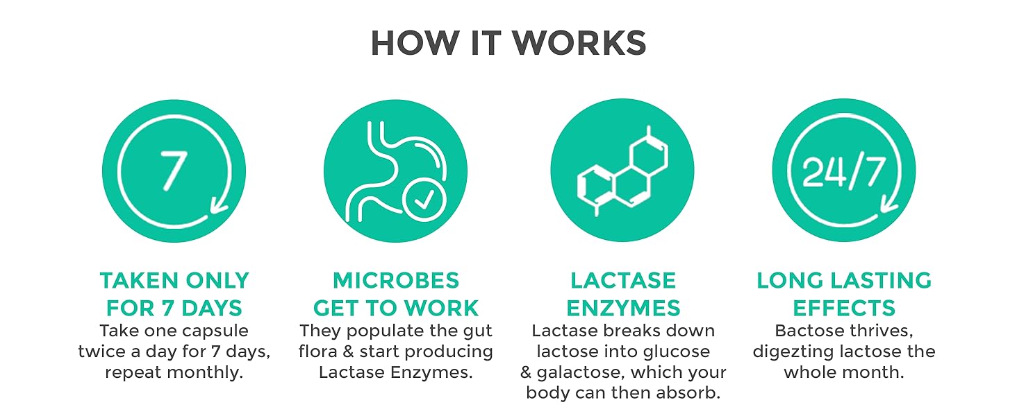 Bactose for lactose intolerance and Lactose Support