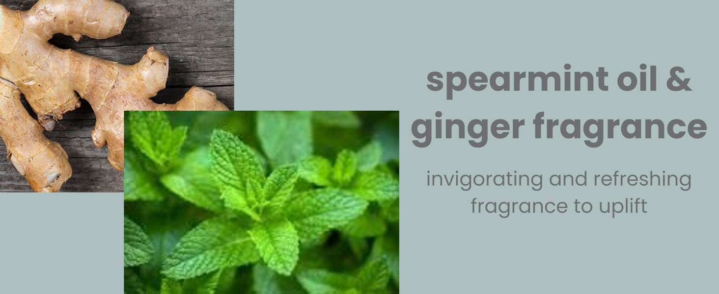 spearmint oil ginger fragrance invigorating uplifting mood refreshing