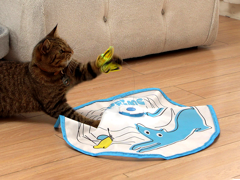 Cat Toys for Indoor Cats