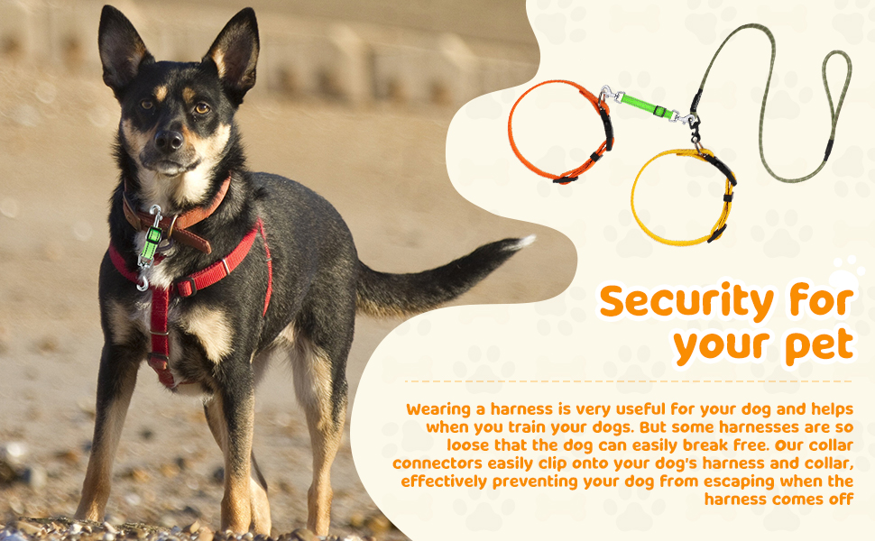 5 Pcs Safety Dog Collar Clips Prong Collar Backup Clips Adjustable Reflective Nylon