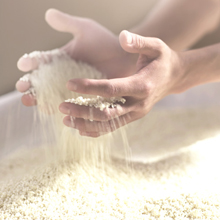 Small manufacture image 4