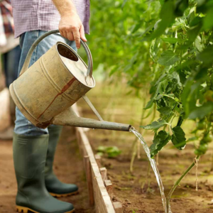 Small manufacture image 8