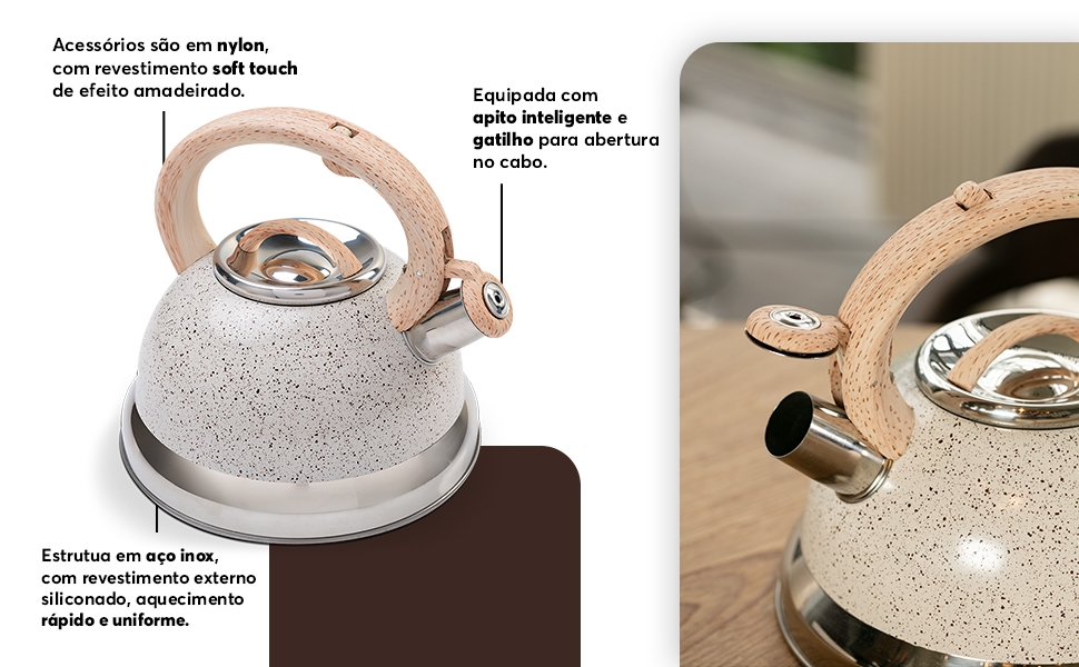 Aço Inox