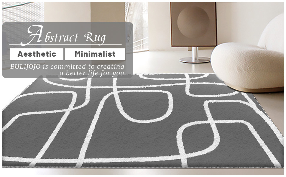Bulijojo Abstract Aesthetic Minimalist Rug Washable