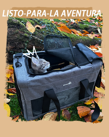 Pecute Large Portable Pet Travel Bag with Pockets Multifunctional Organizer for Outdoor Use Travel Set with 2 Food Bags + 2 Collapsible Bowls 18 aplus content image