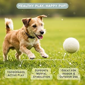 Miao and Woof 3-Piece Wool Dog Balls