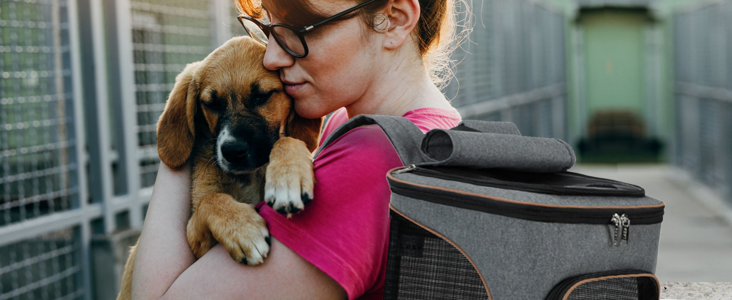 dog backpack carrier